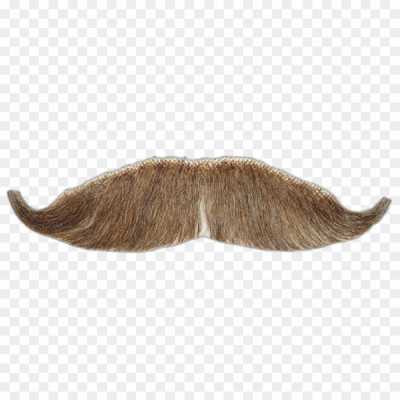 moustache-heard-much-Transparent-High-Resolution-PNG-XNU36YR0.png PNG Images Icons and Vector Files - pngsource