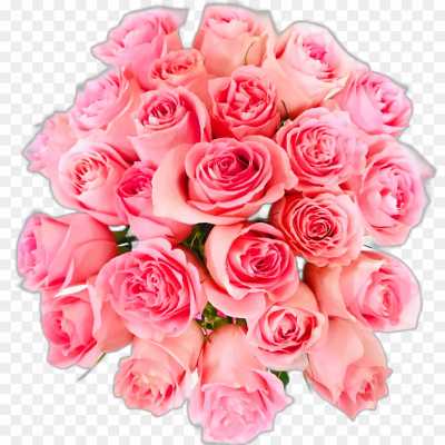 pink-rose-flower-HD-Image-Transparent-Background-PNG-Y2YARX9A.png