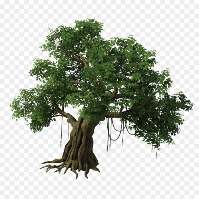 Tree, Plant, Woody, Perennial, Trunk, Branches, Leaves, Roots, Bark, Photosynthesis, Oxygen, Shade, Habitat, Ecosystem, Nature, Green, Growth, Wood, Timber, Canopy, Wildlife, Carbon Dioxide, Shade, Oxygen, Environment, Foliage, Fruits, Flowers, Shade, Biodiversity, Ecosystem, Natural Resources.