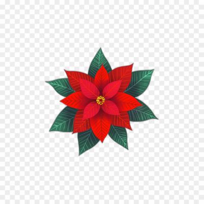 poinsettia-flower-png-Pngsource-3CEPKXY0.png