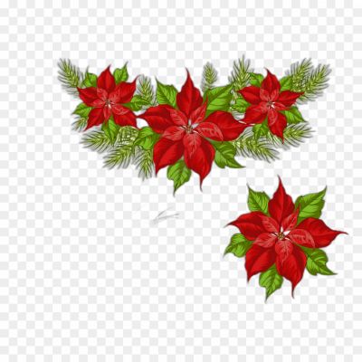 poinsettia-png-poinsettia-transparent-png-Pngsource-V2A810UI.png