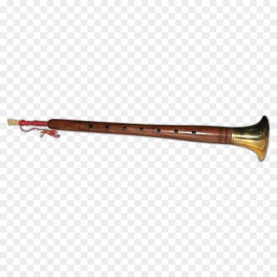 Musical instrument, Wind instrument, Indian, Wedding, Classical music, Folk music, Melody, Raga, Musician, Reed, Embouchure, Vibrato, Harmonium, Tabla, Performance, Traditional, North India, Sound, Acoustics