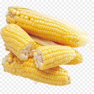 Corn, Sweet, Snack, Street Food, Summer, Cob, Delicacy, Popcorn, Buttered, Grilled, Barbecue, Vegetable, Healthy, Nutritious, Seasonal, Farm Fresh, Roasted, Crunchy, Yummy, Tasty