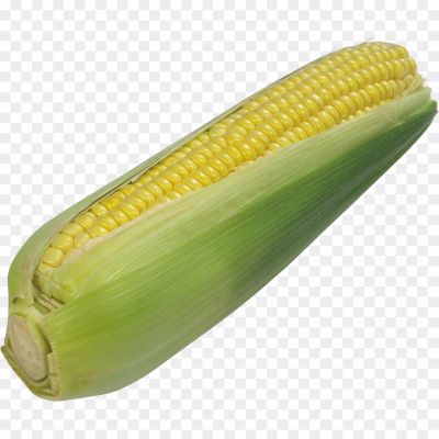 sweetcorn-png-no-background-png-Pngsource-DG1JTQU9.png