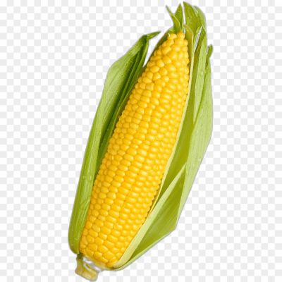 sweetcorn-png-no-background-png-Pngsource-F0Y0JP64.png
