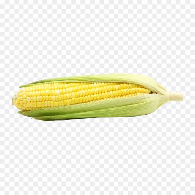 sweetcorn-transparent-png-Pngsource-FDF0PQ1O.png