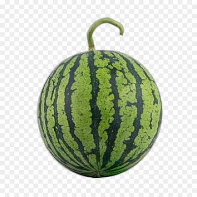 watermelon-berry-fruit-fresh-health-png-image-Pngsource-2MVKYDLN.png