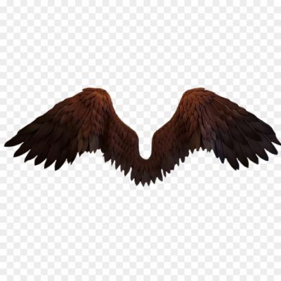 Wings, Birds, Feathers, Flight, Angel, Butterfly, Insect, Aviation, Aircraft, Airplane, Winged, Freedom, Soaring, Glide, Birds In Flight, Angel Wings, Butterfly Wings, Wing Span, Wing Shape, Wing Flapping, Wing Structure, Winged Creatures, Flying