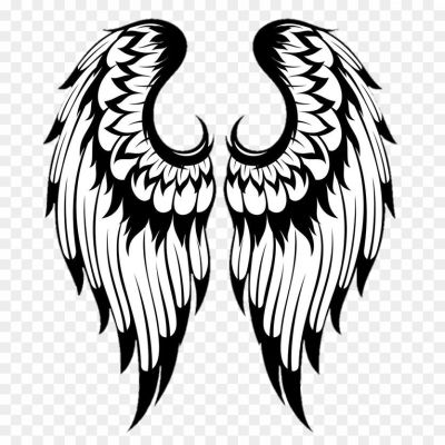 Wings Transparent Image PNG Isolated - Pngsource