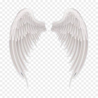 Wings Transparent Isolated PNG - Pngsource
