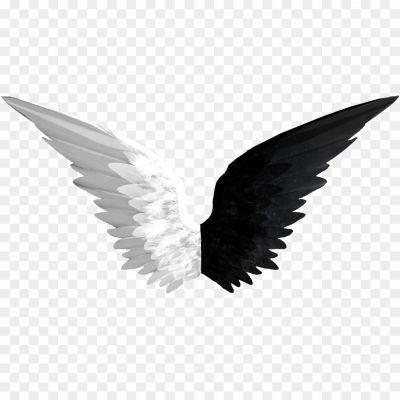 Wings Transparent PNG Isolated - Pngsource